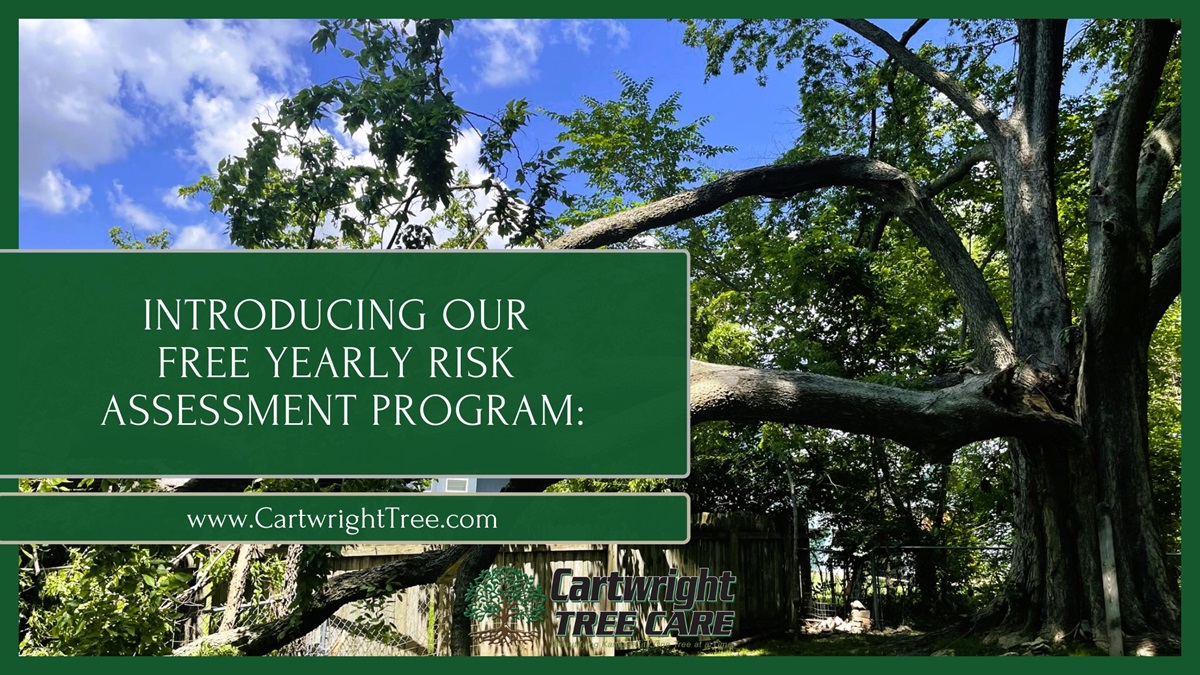 IntroducingOurFreeYearlyRiskAssessment